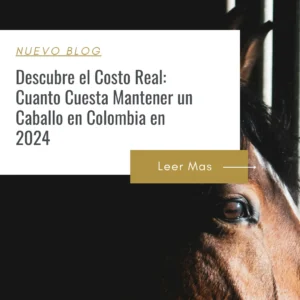 como ahorrar en el mantenimiento de mis caballos