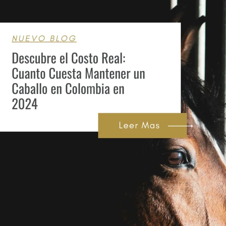 como ahorrar en el mantenimiento de mis caballos