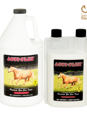 precio actiflex caballos