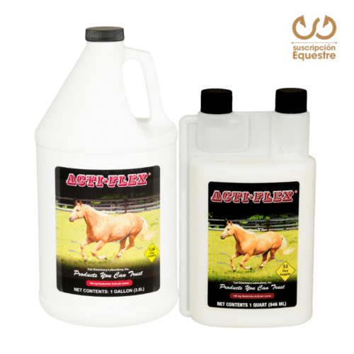 precio actiflex caballos