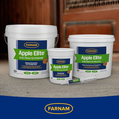 comprar electrolitos para caballos