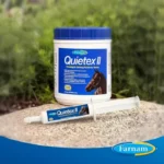 quietex en polvo caballos precio