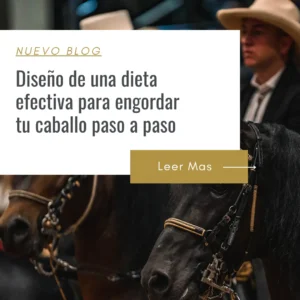 como hago para engordar mi caballo