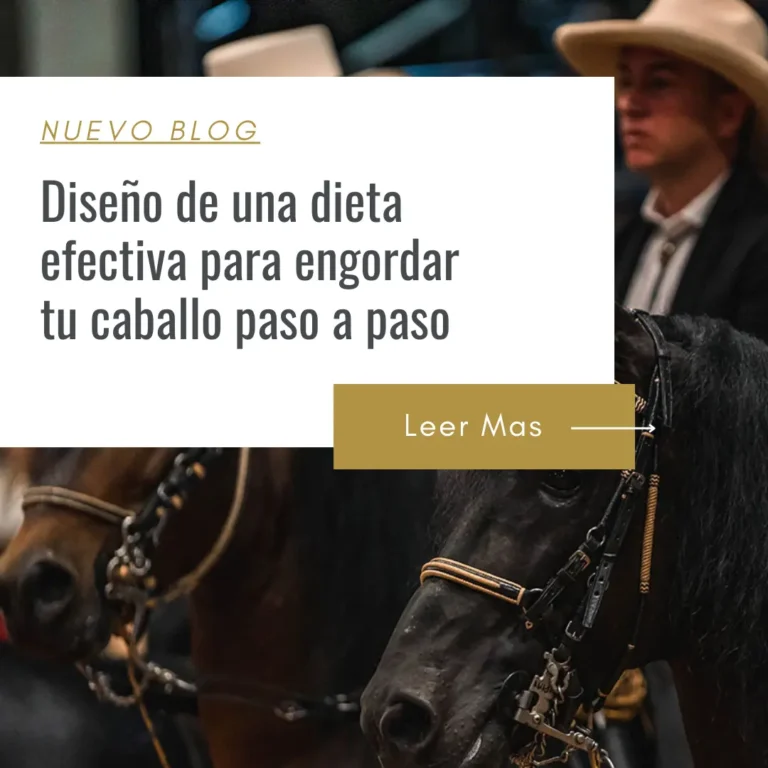 como hago para engordar mi caballo