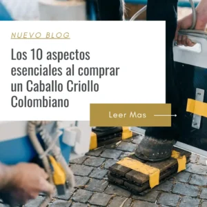 donde puedo hacer un precompra en el oriente antioqueño