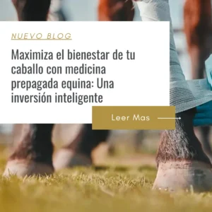 medicos veterinarios de caballos en el oriente antioqueño