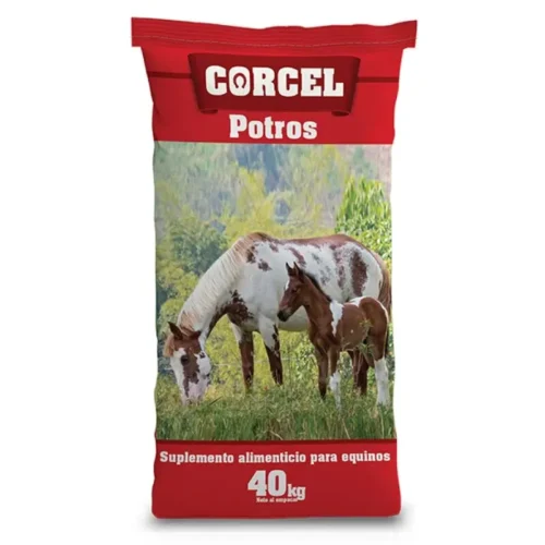 precio corcel potros
