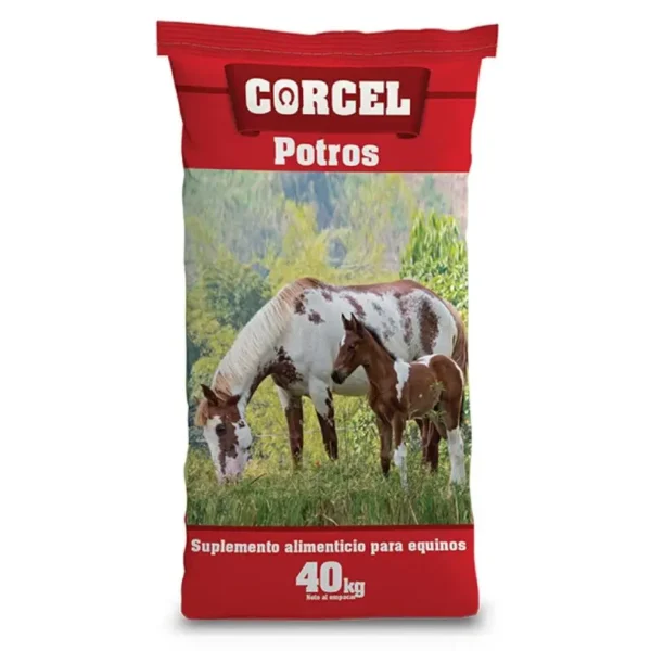 precio corcel potros