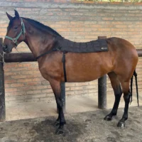 Manta Crioterapia Dorso ConComfort