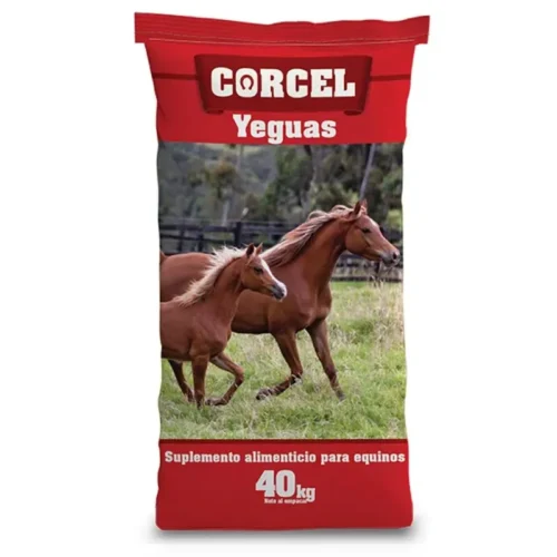 precio corcel yeguas
