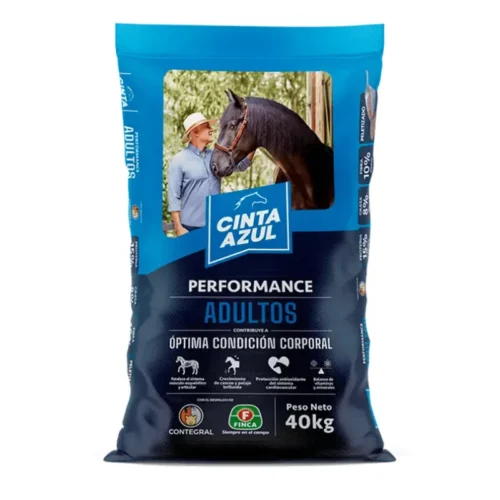 precio cinta azul adultos