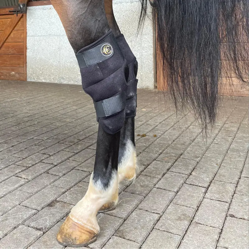 precio de vendas crioterapia equina corvejones