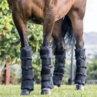 precio vendas de frio para caballos
