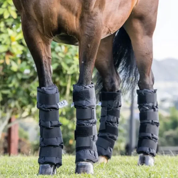 precio vendas de frio para caballos
