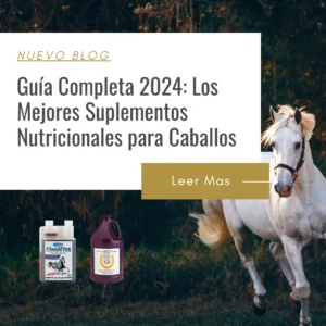 vitaminas para caballos de competencia