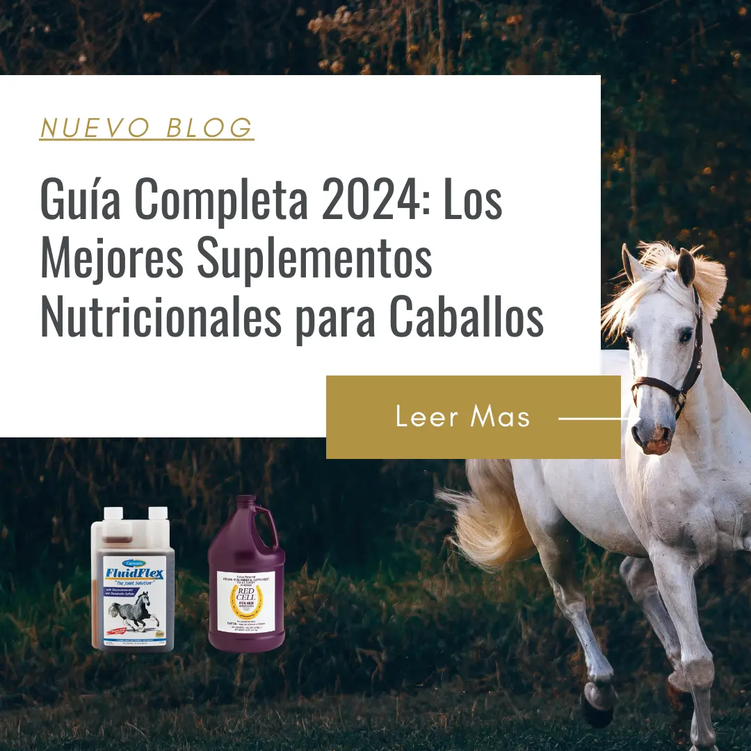 vitaminas para caballos de competencia
