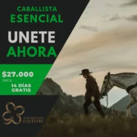 ahorro dinero en caballos