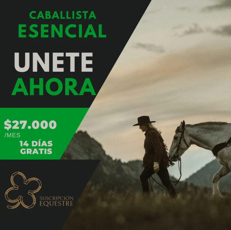 ahorro dinero en caballos