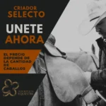 como ahorrar dinero en caballos