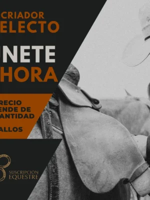 como ahorrar dinero en caballos