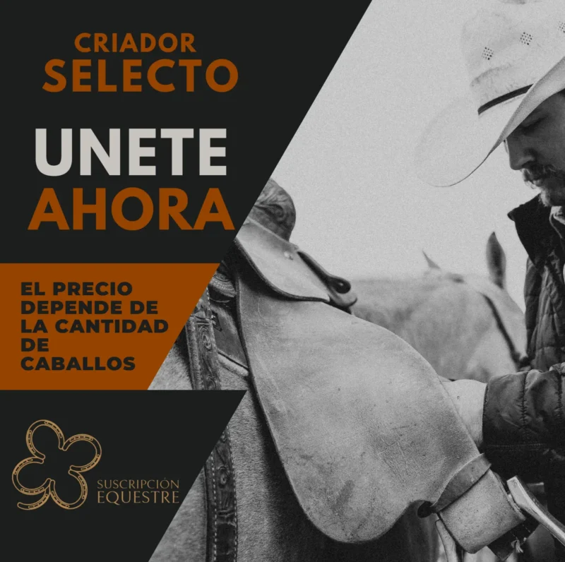 como ahorrar dinero en caballos