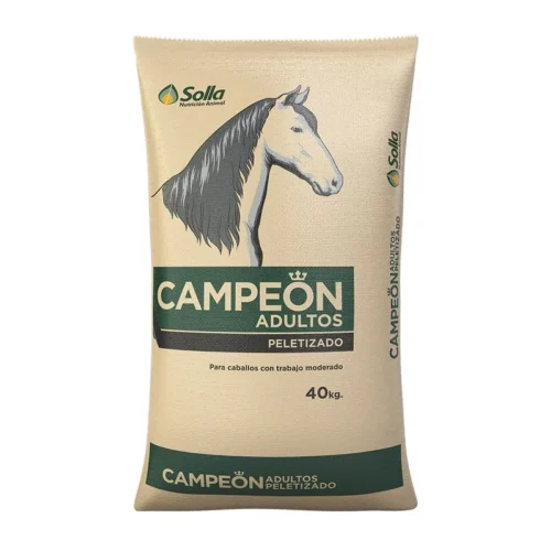 precio campeon adultos
