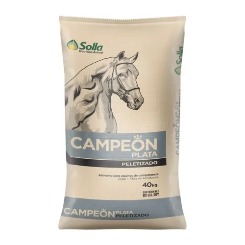 precio campeon plata