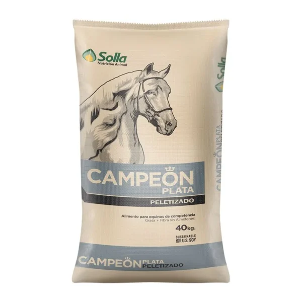 precio campeon plata