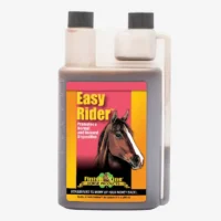 comprar easy rider