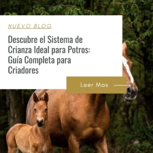 como criar de la mejor manera mi potro