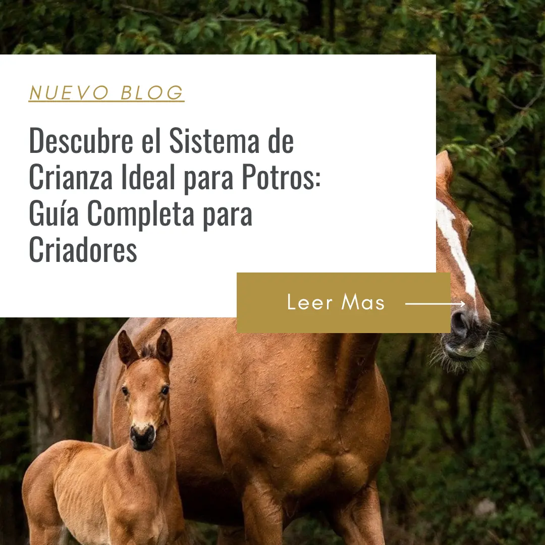 como criar de la mejor manera mi potro