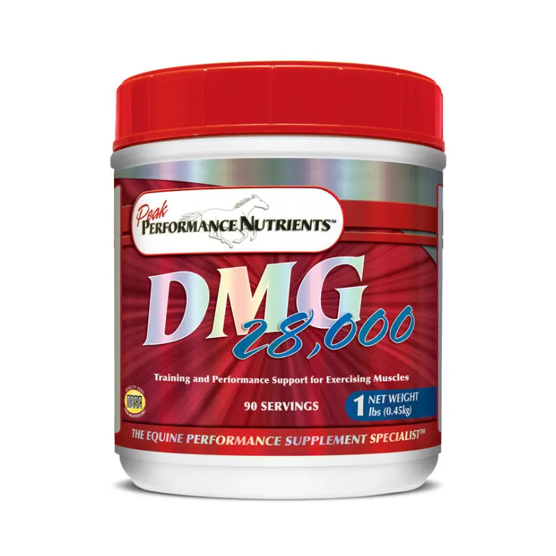 precio dmg 28000