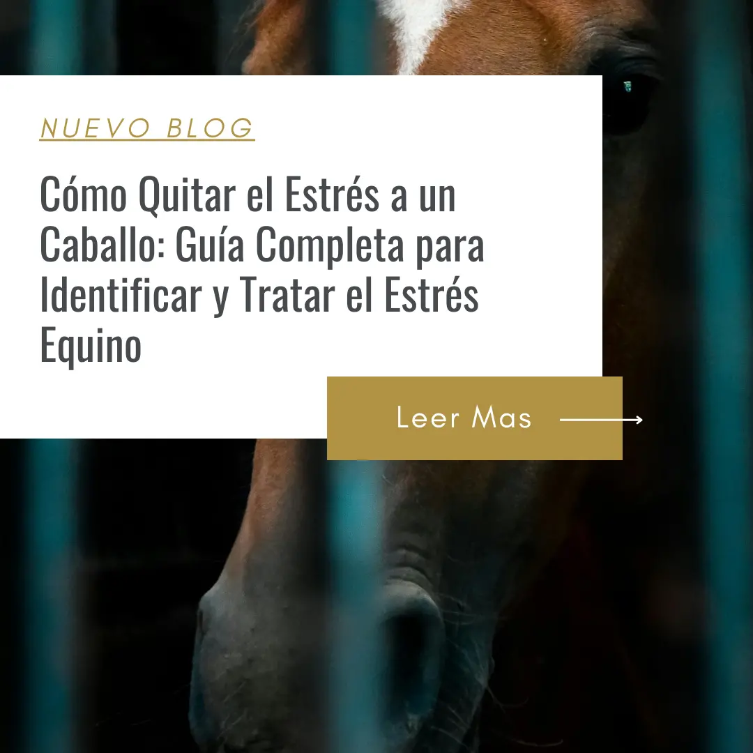 como hacer que mi caballo se relaje en la pesebrera