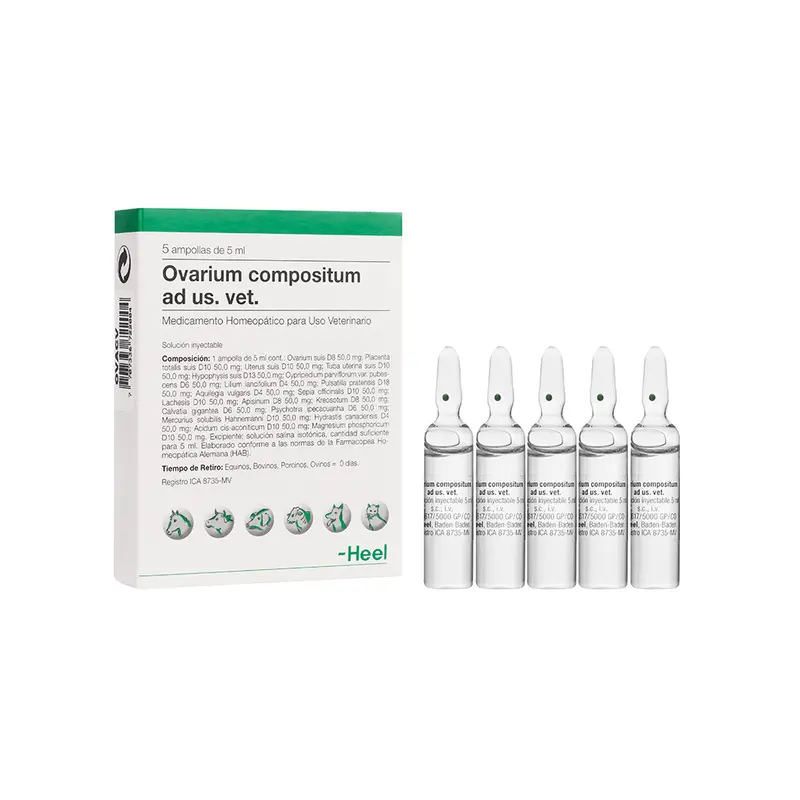 ovarium compositum veterinarios