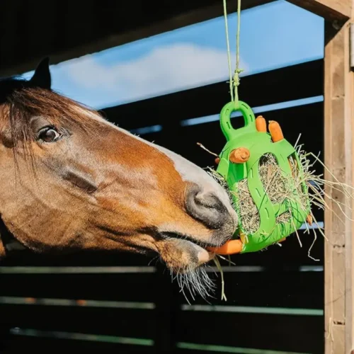 zanahorias para caballos juguetes
