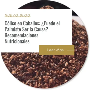 el palmiste causa cólicos en caballos?