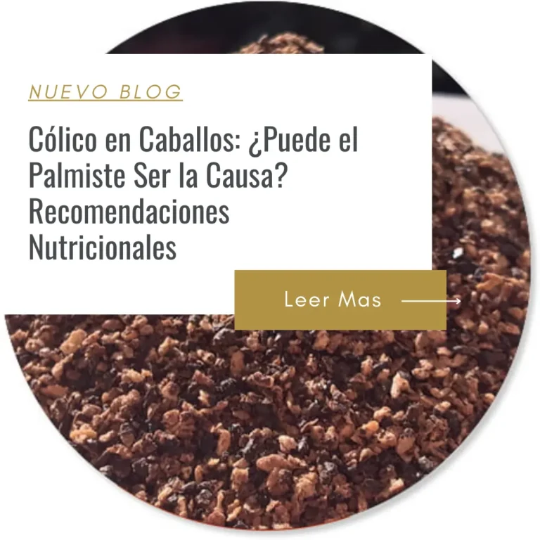 el palmiste causa cólicos en caballos?