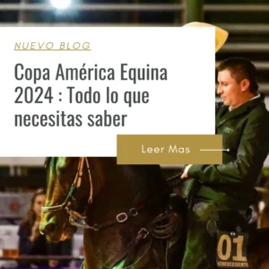 quien ganó la copa América