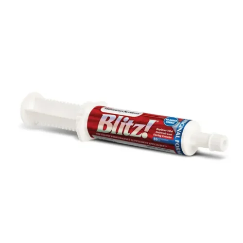 precio blitz
