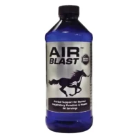 precio air blast