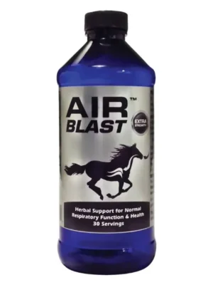 precio air blast