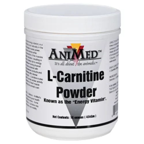 precio l carnitina equinos