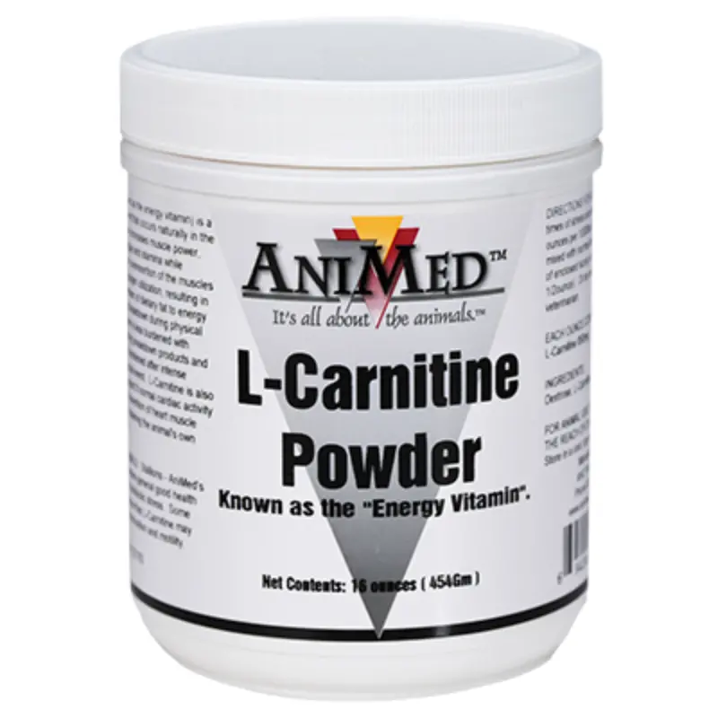 precio l carnitina equinos