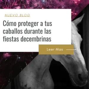 suplementos antiestrés en caballos para la polvora