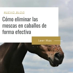 repelente moscas para caballos