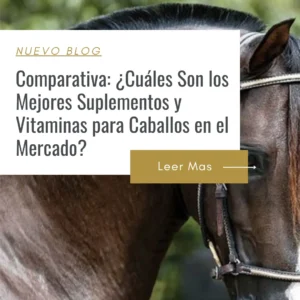 precio de los mejores suplementos