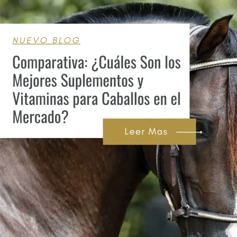 precio de los mejores suplementos