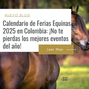 fechas ferias equinas