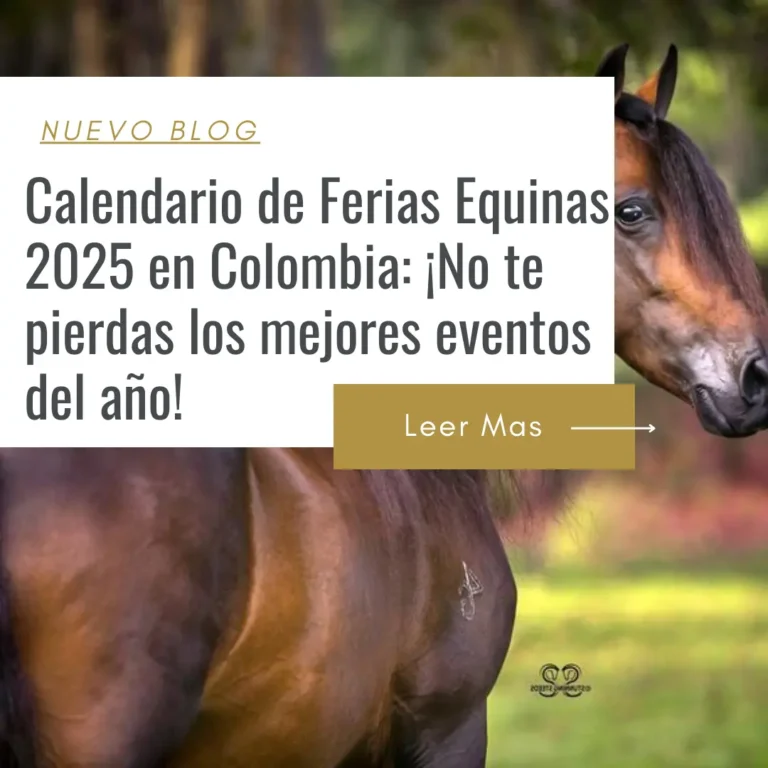 fechas ferias equinas
