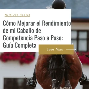 entrenamiento para caballo de competencia